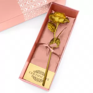 róża w pudełku z nadrukiem