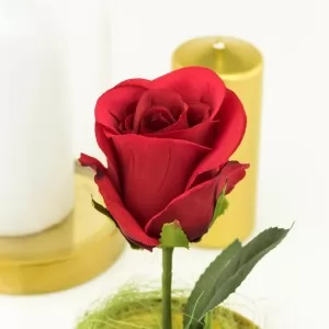 czerwona róża wieczna na prezent na rocznicę