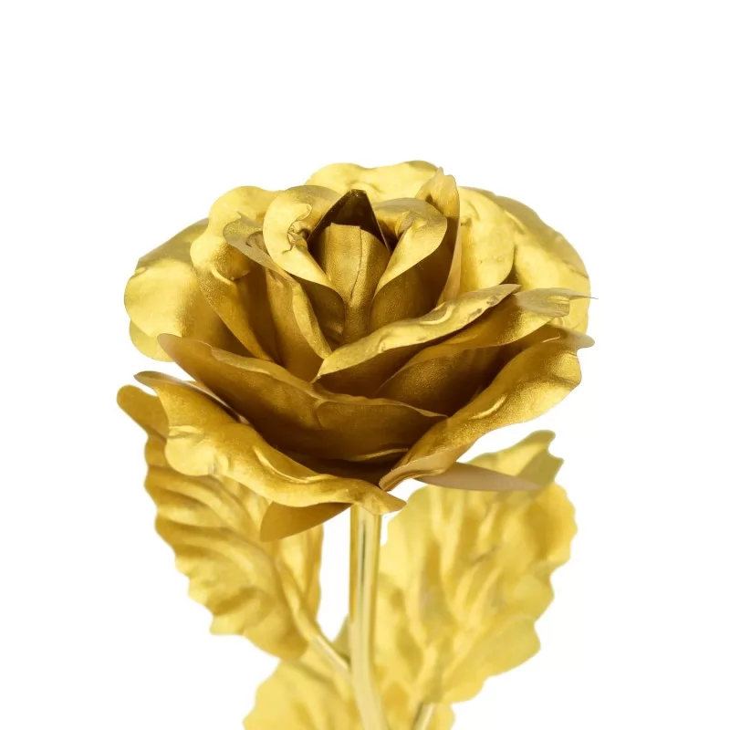 złota róża wieczna
