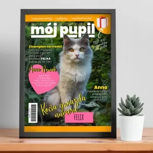okładka gazety ze zdjęciem dla miłośnika kotów