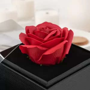 czerwona wieczna róża