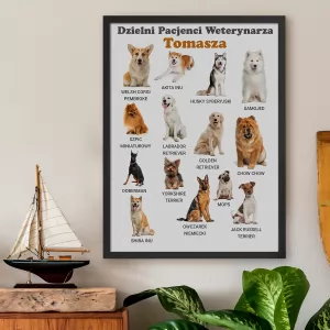 plakat rasy psów do gabinetu weterynaryjnego 