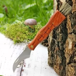 nóż składany dla grzybiarza